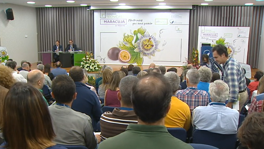 Gesba vai exportar outros frutos sub-tropicais