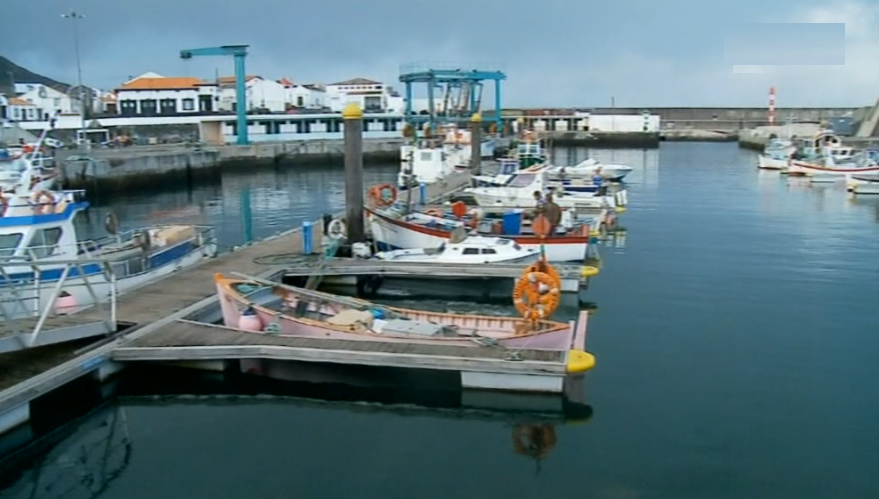 Abaixo-assinado contra pesca ilegal na Ilha Graciosa