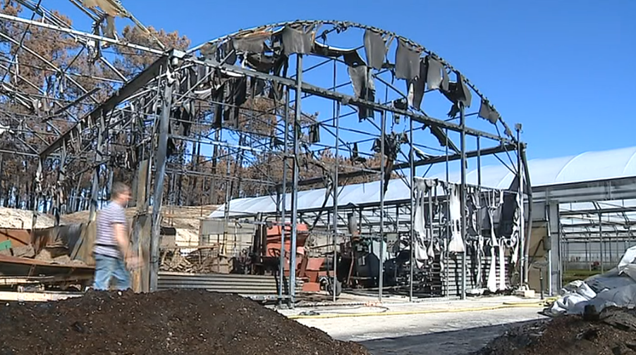 Prejuízos causados pelo incêndio em Mira