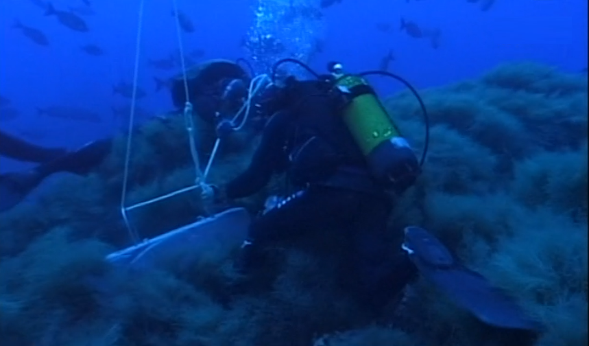 Criação do “Centro Okeanos” na Ilha do Faial