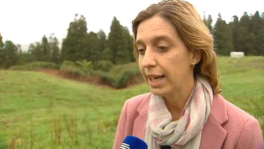 Declarações de Marta Guerreiro