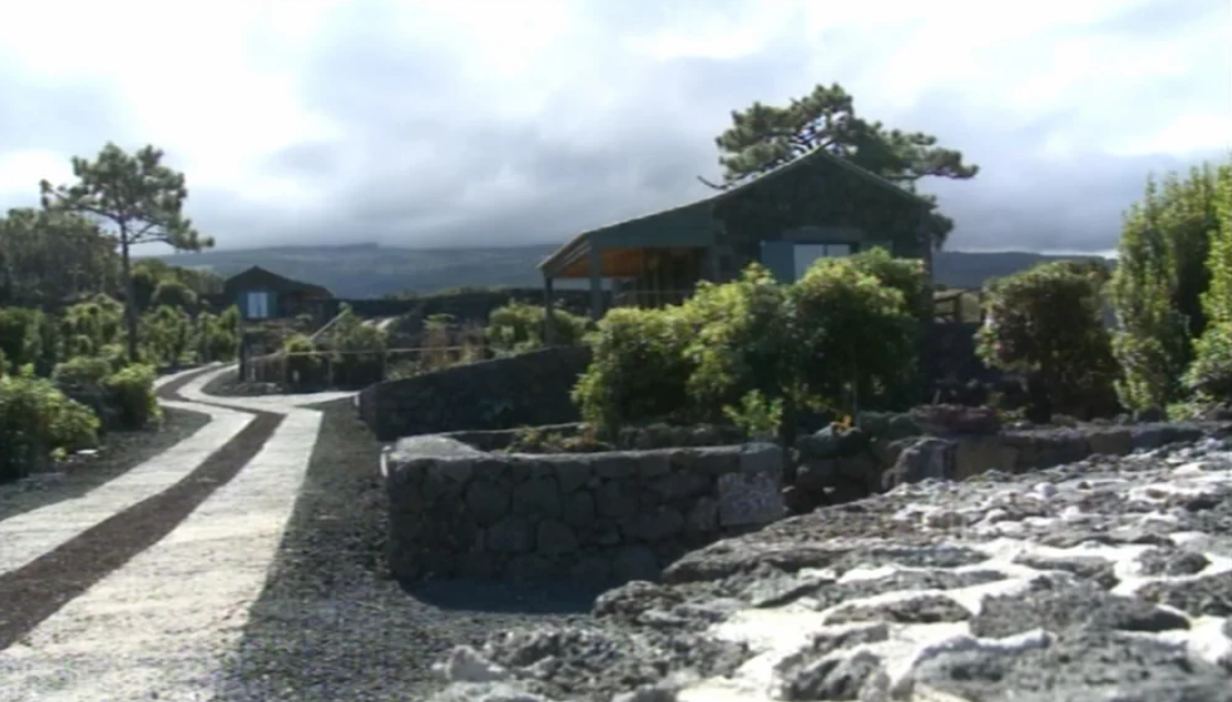 Turismo na paisagem da vinha na Ilha do Pico
