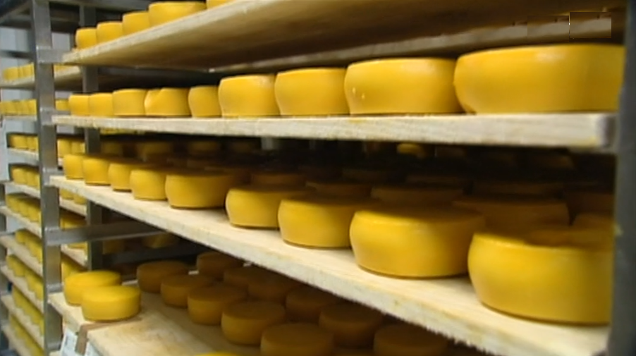 Queijos dos Açores premiados