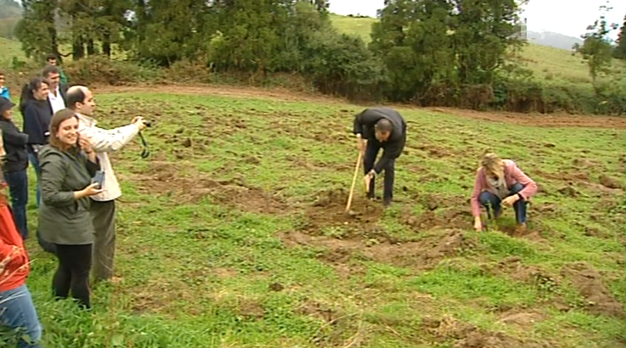 Reflorestação da Lagoa das Furnas