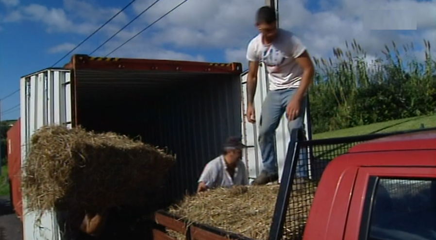 Solidariedade para com vítimas dos incêndios