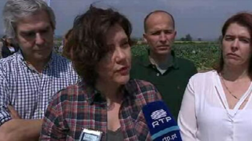 Declarações de Assunção Cristas