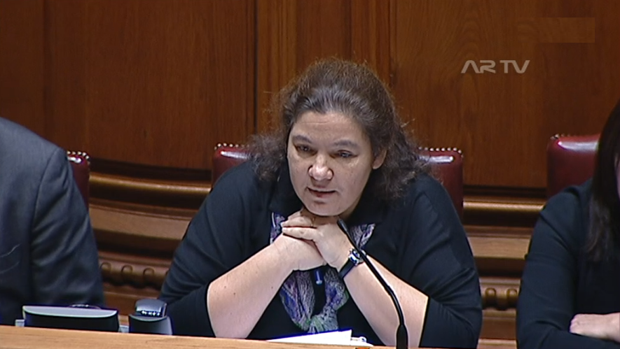 Declarações de Alexandra Leitão