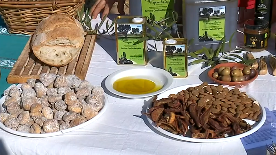 Produção de azeite biológico II