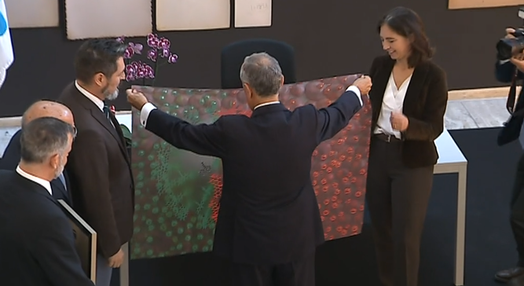 Nanobandeira Portuguesa