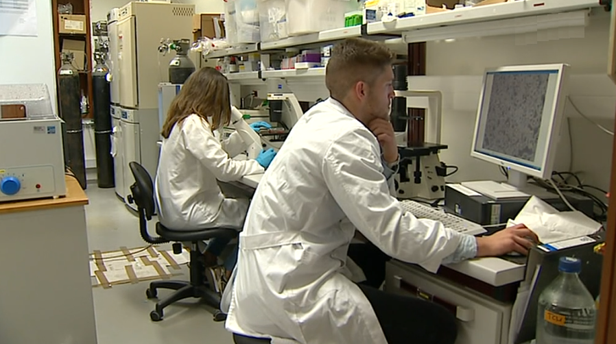 Diagnóstico inovador ao cancro do pâncreas