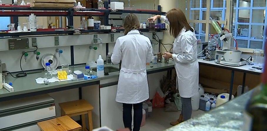 Da vinha à alimentação