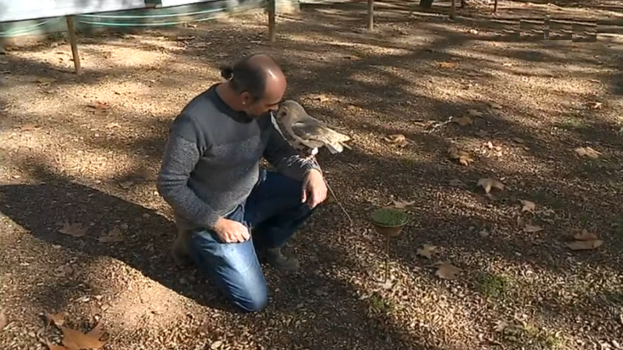 Palácio e Tapada de Mafra