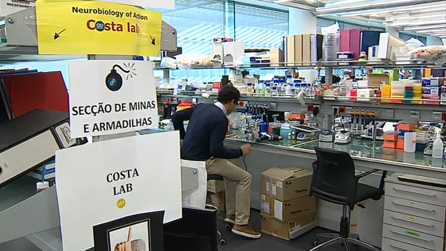 Prémios Pfizer 2017