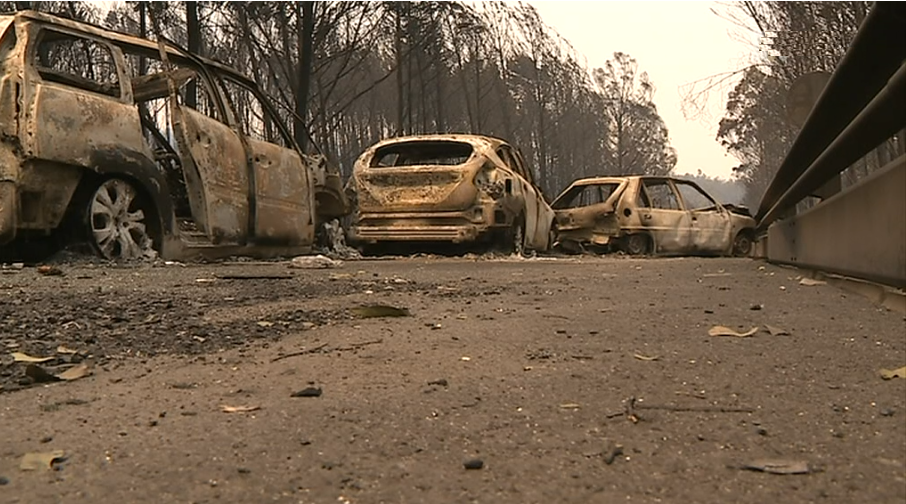 AVIPG quer divulgação pública do relatório dos incêndios