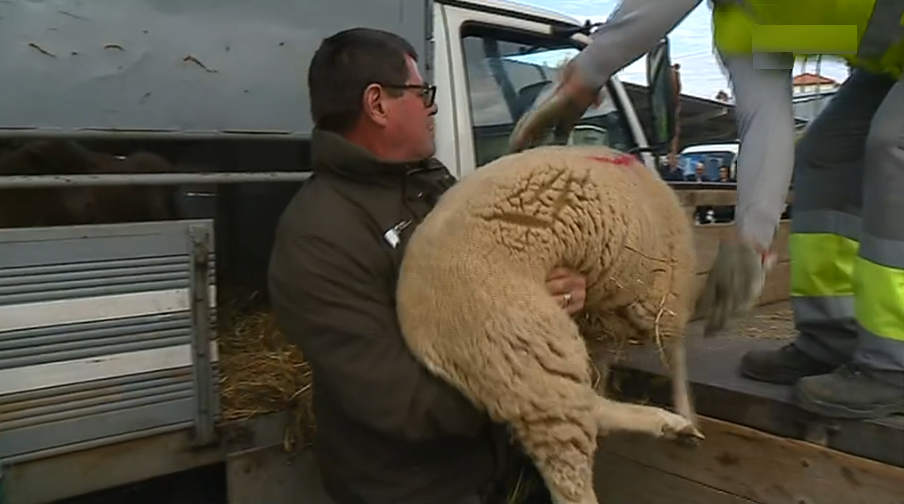Câmara de Cascais solidária com Pampilhosa da Serra