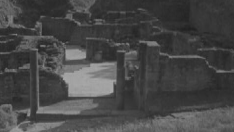 Campo internacional de trabalho para estudantes