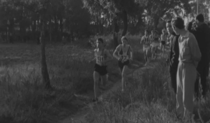 Atletismo: campeonato nacional de corta mato de juvenis