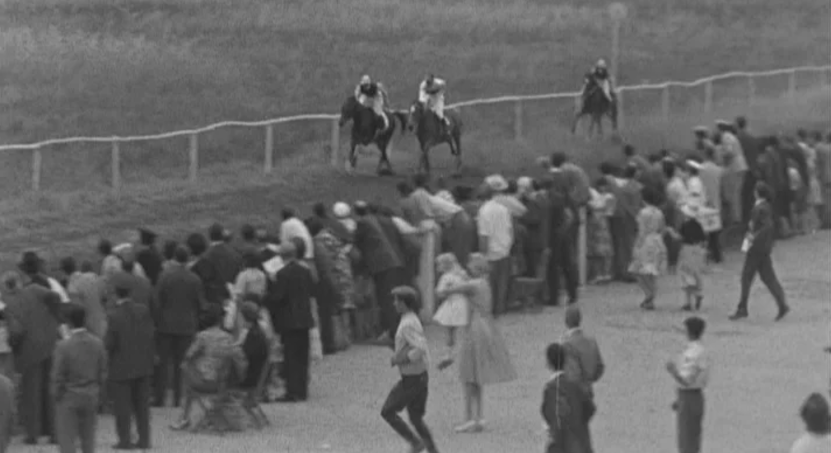 Hipismo: Trote atrelado