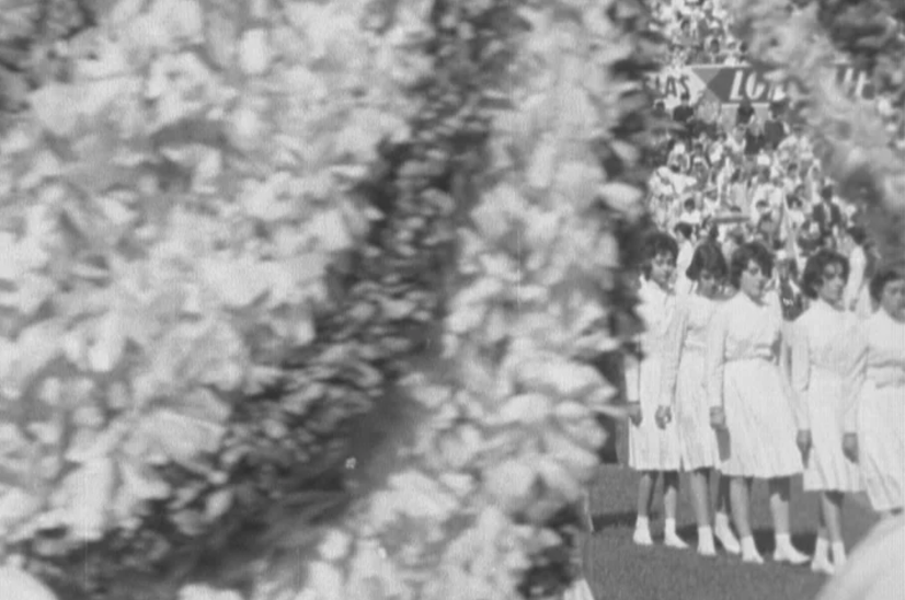 Festival da Juventude no Mundo