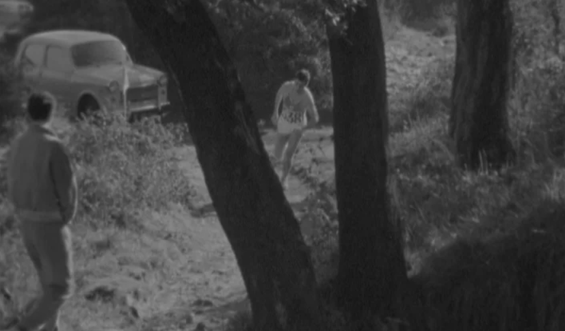 Atletismo: campeonato nacional de corta mato de juniores