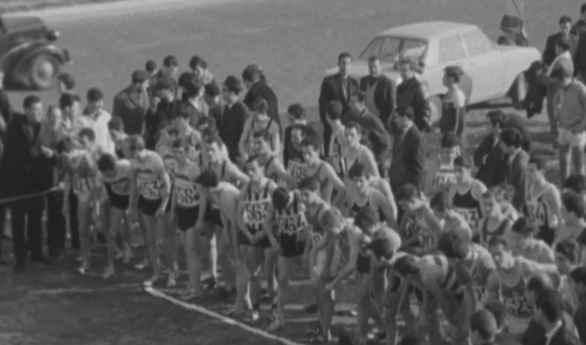 Atletismo: campeonato nacional corta mato