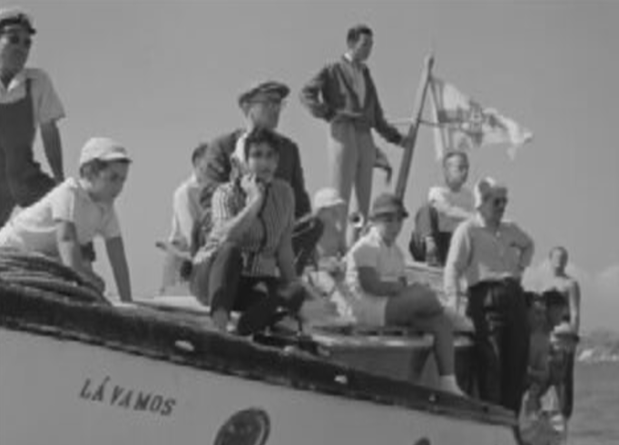 Natação: prova de travessia do Tejo