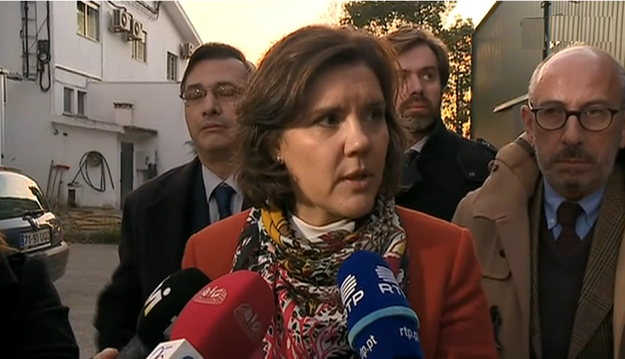 Declarações de Assunção Cristas