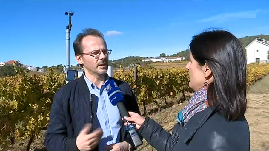 Aplicação para previsão da produção vitivinícola