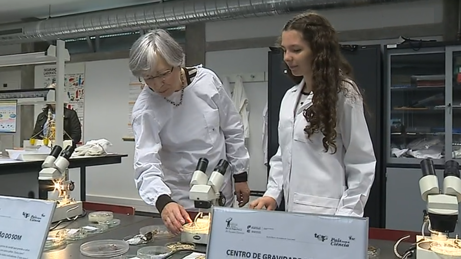 Bolsas de mérito EPIS