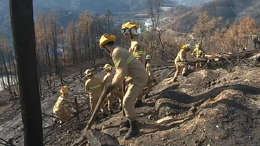 Estabilização de terrenos pós incêndios florestais