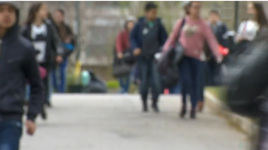 Agressões nas Escolas