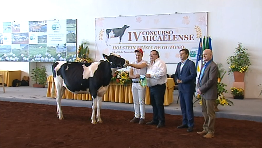 Balanço do concurso de gado Holstein Frísia