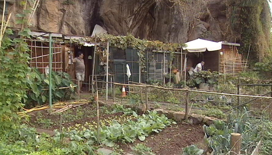 Autarquia do Funchal decide sobre hortas urbanas