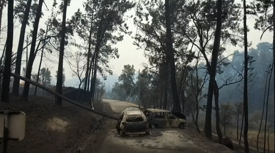 Pulseiras eletrónicas para incendiários