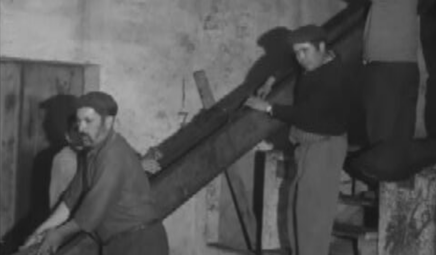 Limpeza de lagar de azeite em Ferreira do Zêzere