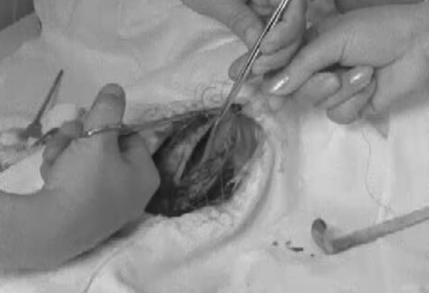 Sessão dos Laboratórios Novil em Lisboa