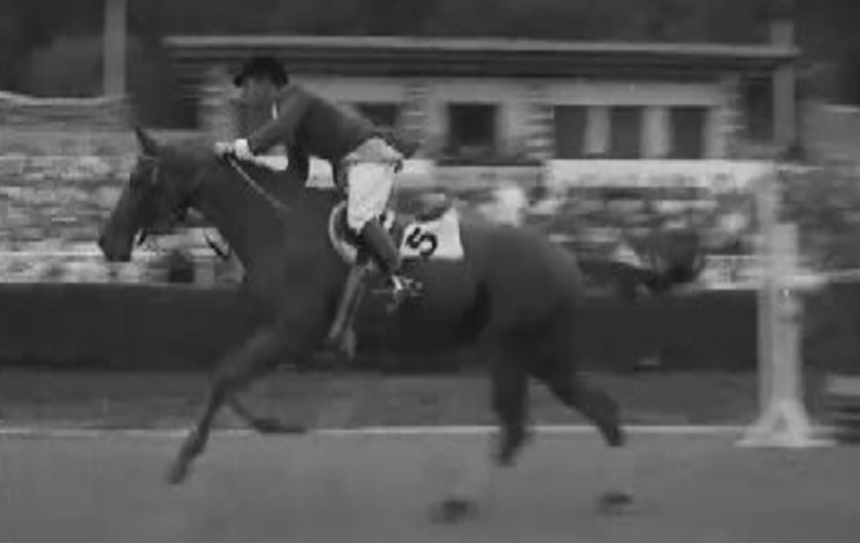 Hipismo: Concursos Nacional e Internacional em Cascais