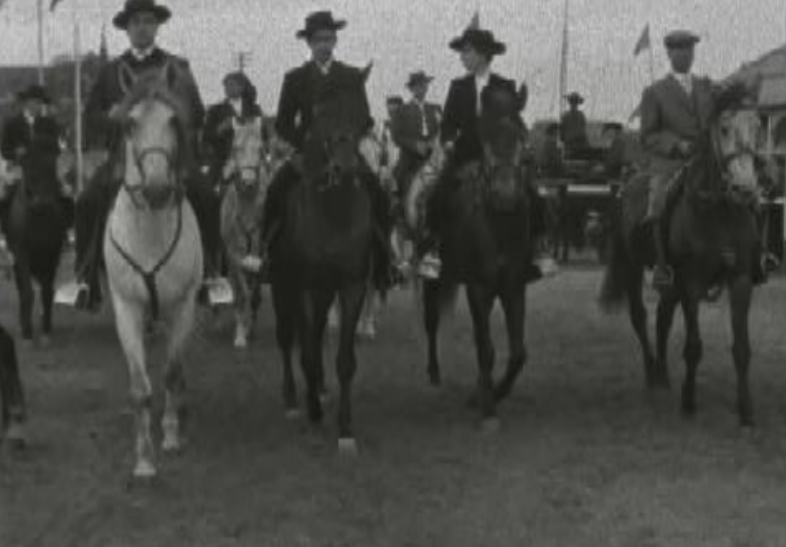 Feira de São Martinho na Golegã