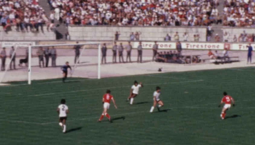 Futebol: Benfica vs Portimonense