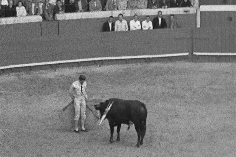 Tourada no Campo Pequeno em Lisboa