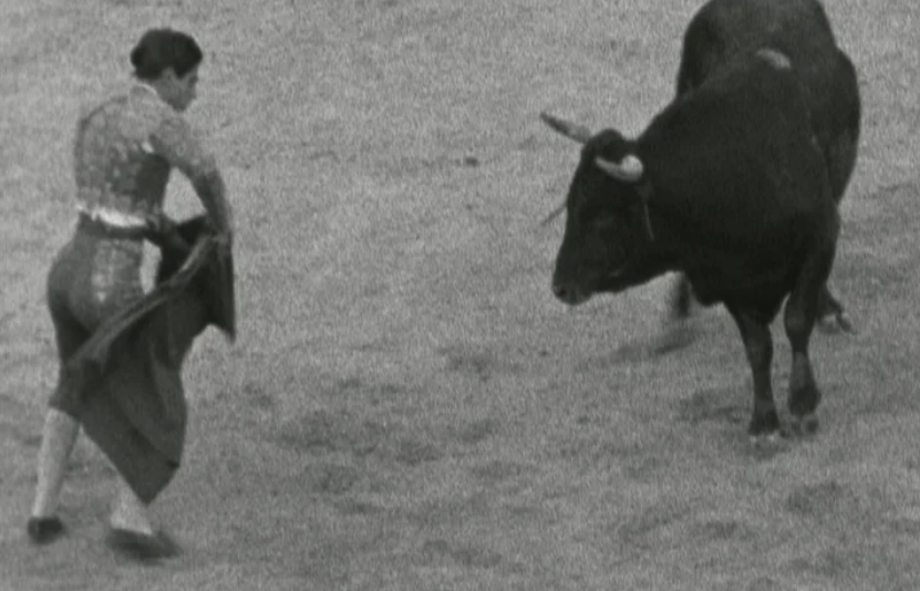 Tourada na praça de touros no Cartaxo