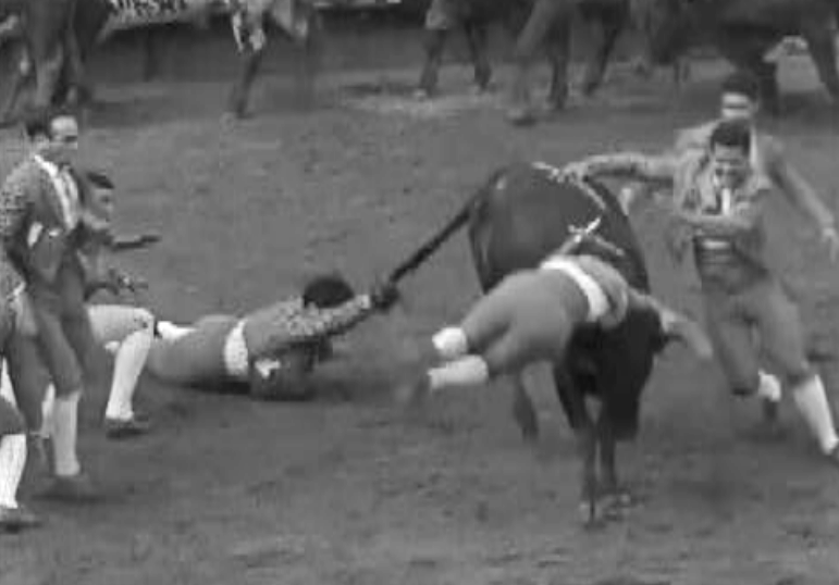 Tourada em Montemor-o-Novo