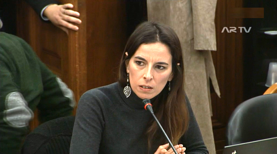 Vieira da Silva na Assembleia da República