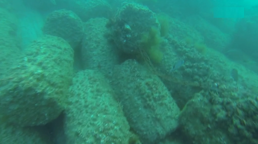 Descoberta histórica no Rio Tejo