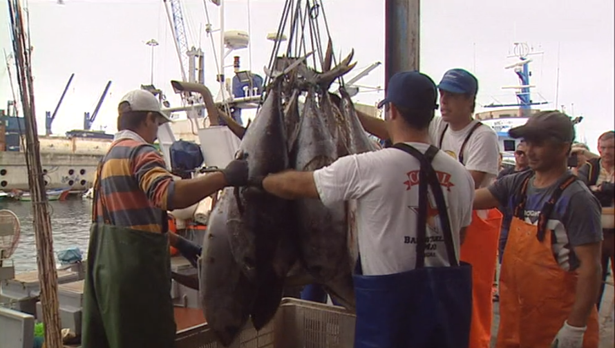 Região mantém quotas da captura de tunídeos