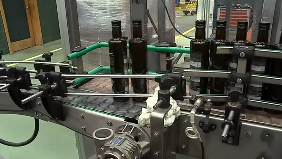 Produção de azeite em Trás os Montes II