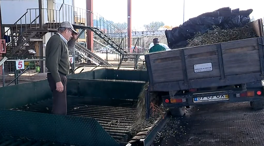 Produção de azeite em Trás os Montes I