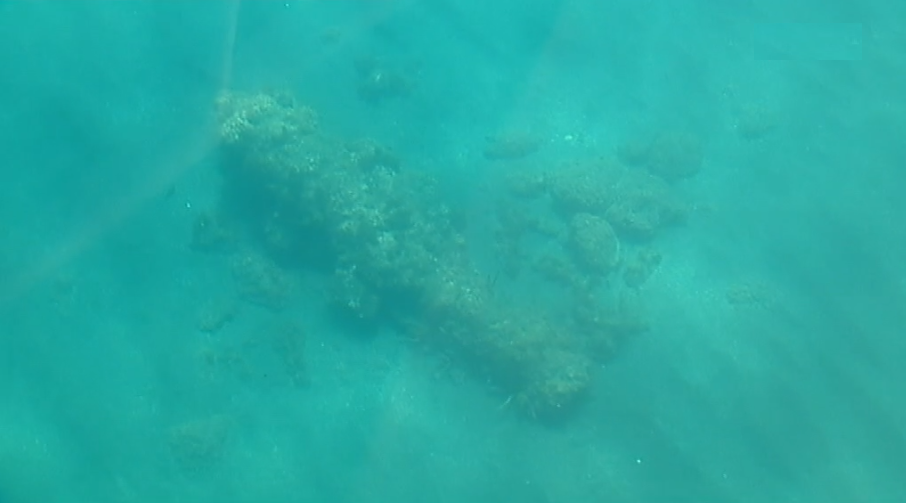 Aumento da biodiversidade na baía de Angra do Heroísmo