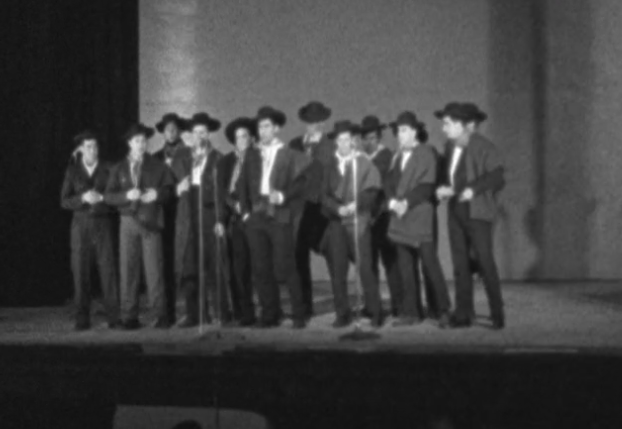 Espetáculo dos Serviços Sociais das Forças Armadas em Lisboa