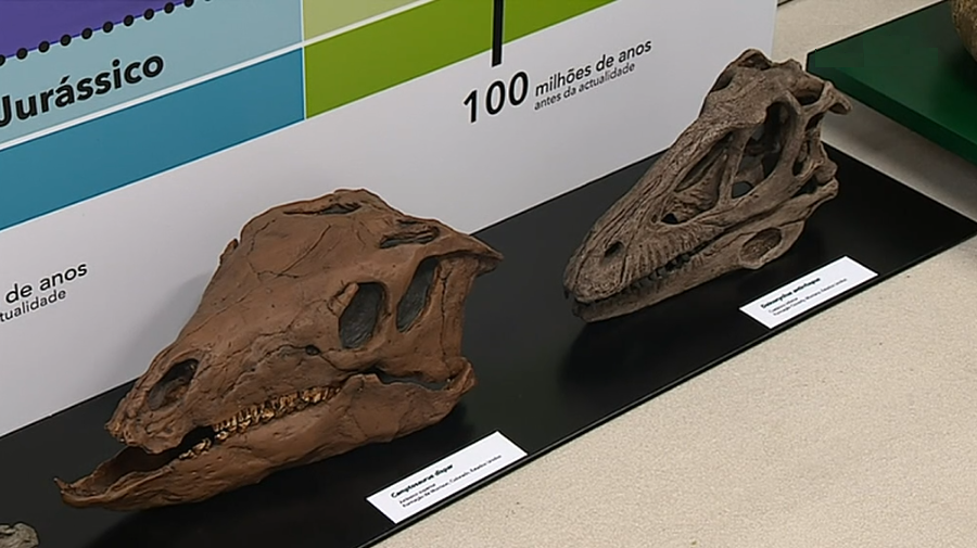 Exposição de dinossauros em Lisboa